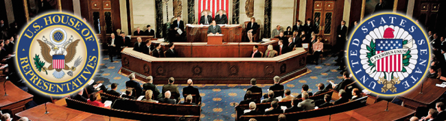 Alternative Minimum Tax Congress