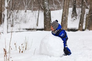 make a budget debt snowball