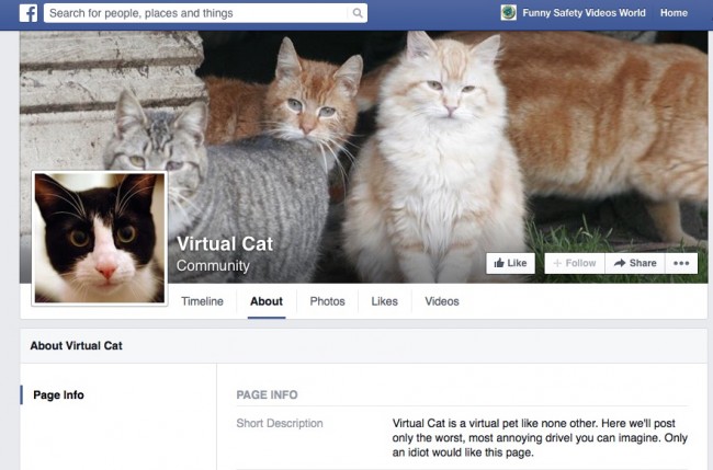 facebook money veritasium virtual cat