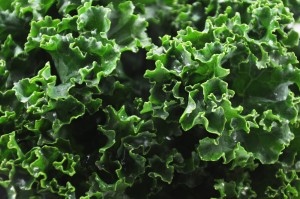 walmart cheap healthy kale