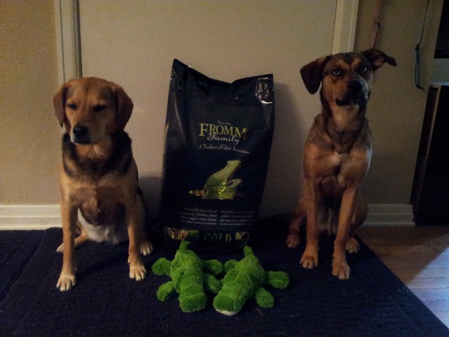 save money on dog food