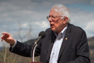 bernie sanders net worth policy