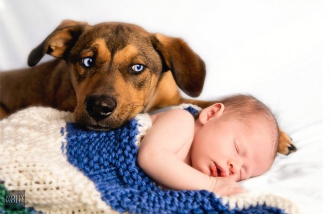 save money on dog food family members