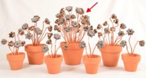 online business money on reddit bullet bouquets prototypes