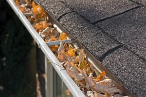 home maintenance gutters save money