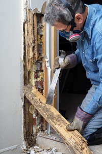 termites home maintenance save money