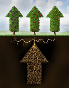 Choose Advisor How to Diversify