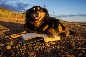 Sell back less popular textbooks earlier