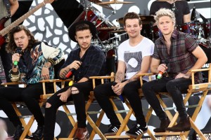 One Direction Net worth Calculations