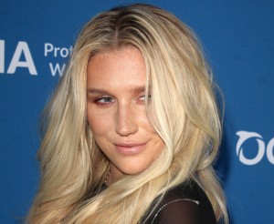 Merchandise Kesha Net Worth
