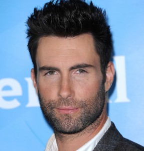 Adam Levine Net Worth Over Time