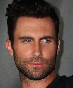 Adam Levine Net Worth from Albums