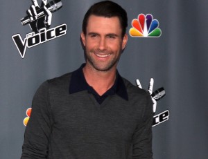 Adam Levine Net Worth from Singles