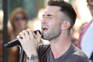 Adam Levine net worth from Concerts