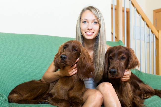 pet-sit-for-christmas-money
