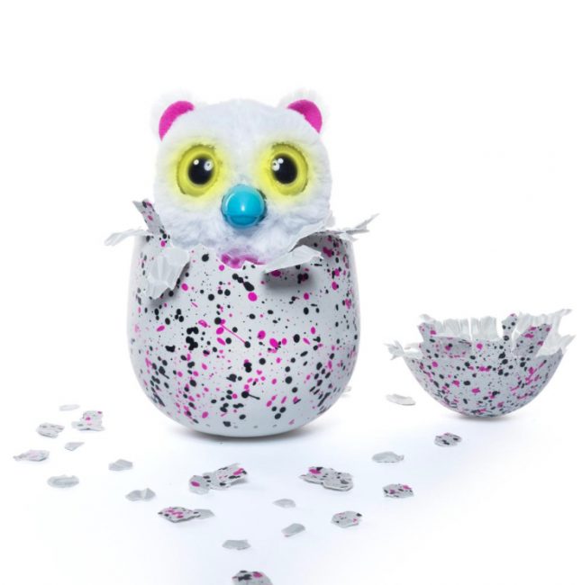 hatchimals-b
