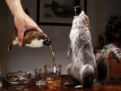 most expensive beer